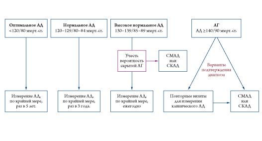 Algoritm1